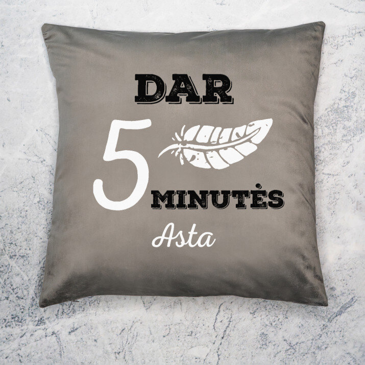 Dar 5 minutės - Dekoratyvinė pagalvė