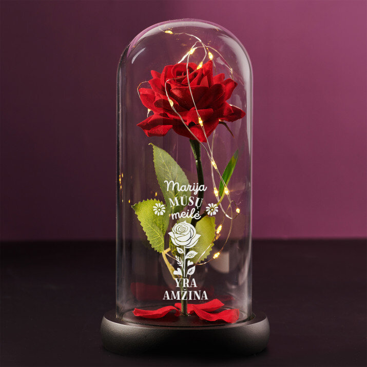 mūsų meilė amžina - amžina rožė stikle