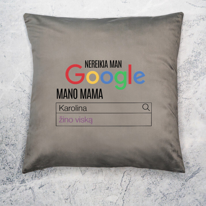 Nereikia google - Dekoratyvinė pagalvė