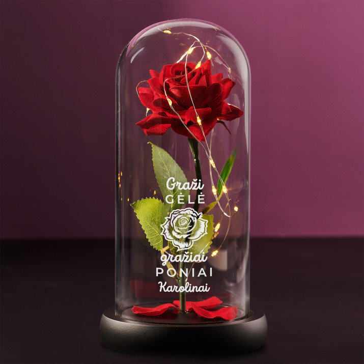 graži gėlė - amžina rožė stikle