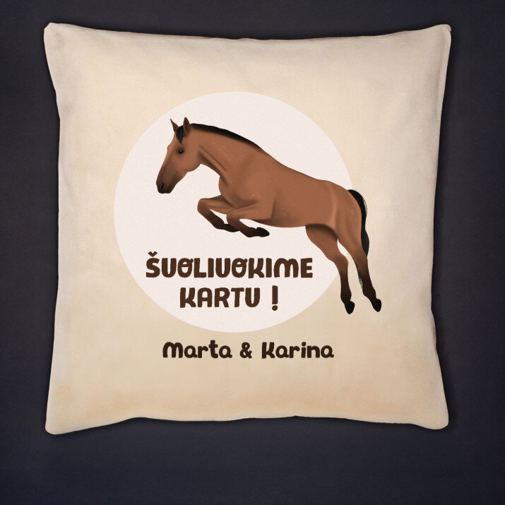 Šuoliuokime kartu - Dekoratyvinė pagalvė