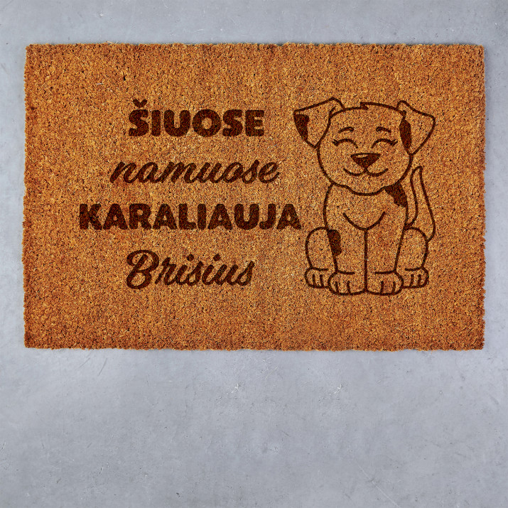Šiuose namuose karaliauja šuo - Kokosinis durų kilimėlis