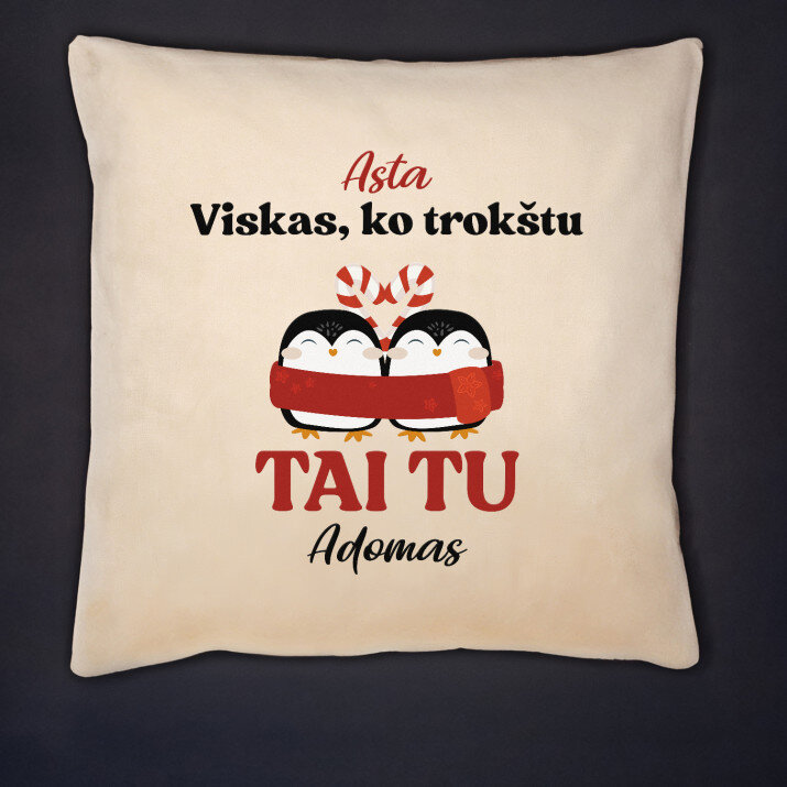 Viskas, ko trokštu - Dekoratyvinė pagalvė