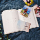 Every picture - Nuotraukų albumas