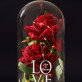 Love - amžina rožė stikle