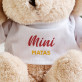 Mini - Pliušinis žaislas